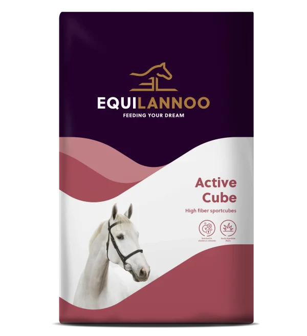 EquiLannoo Active Cube 20 kg